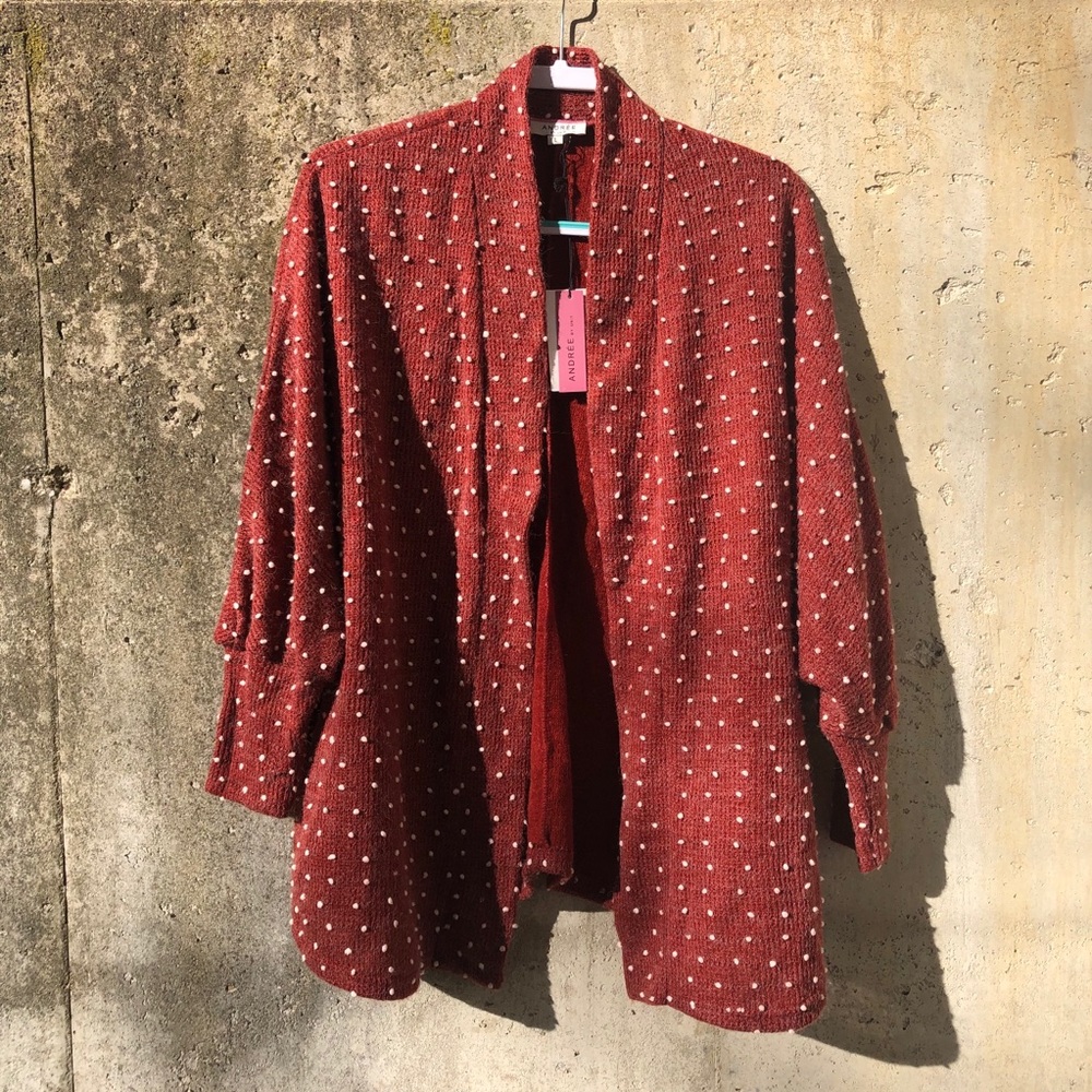 NWT Andree Dot Burgundy Cardigan